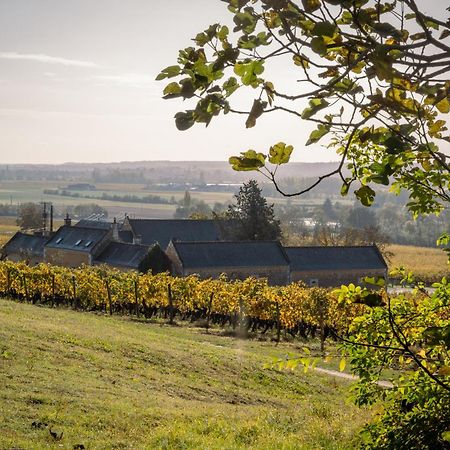 Domaine de Beauséjour Panzoult Exterior foto