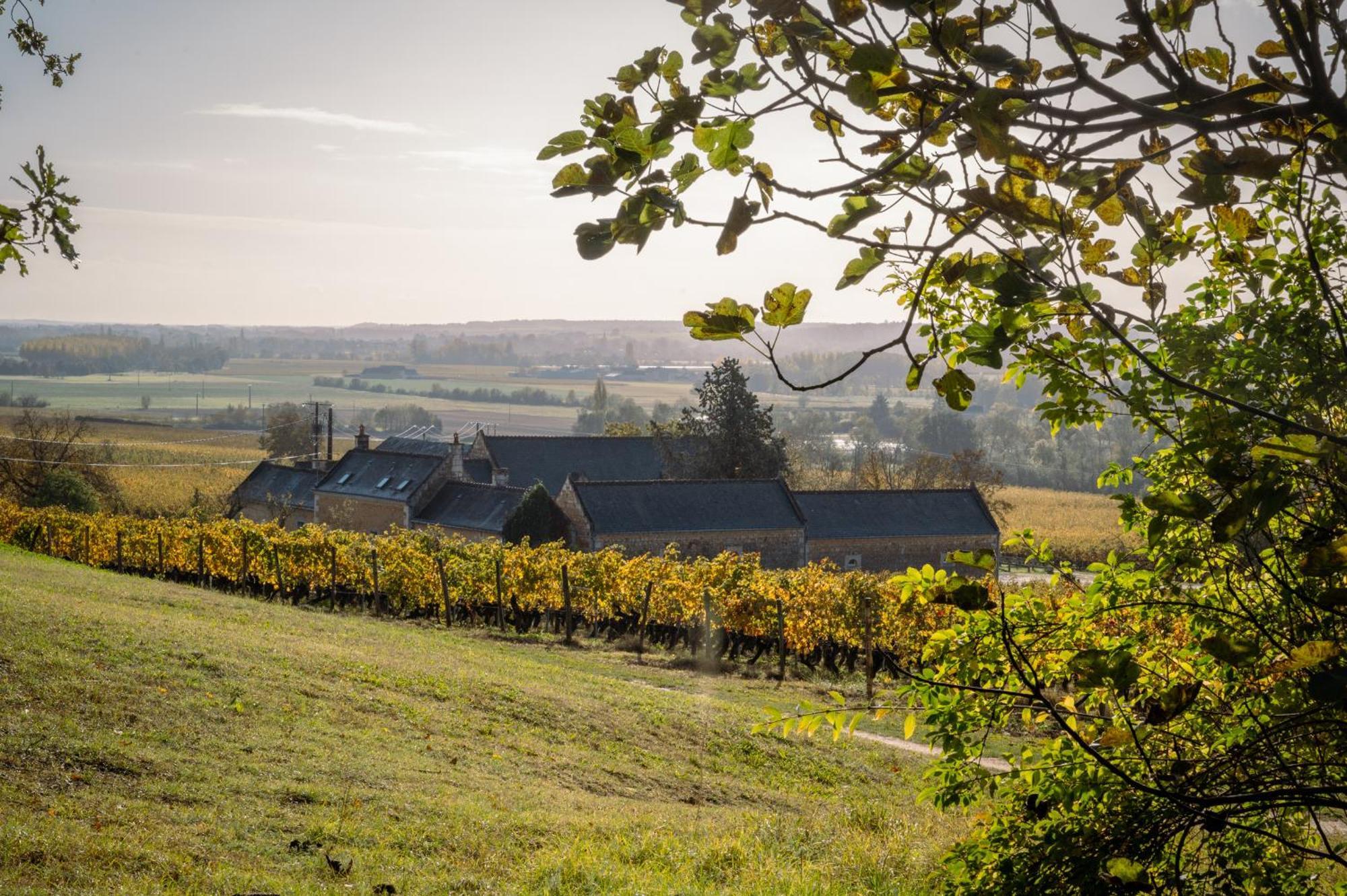 Domaine de Beauséjour Panzoult Exterior foto