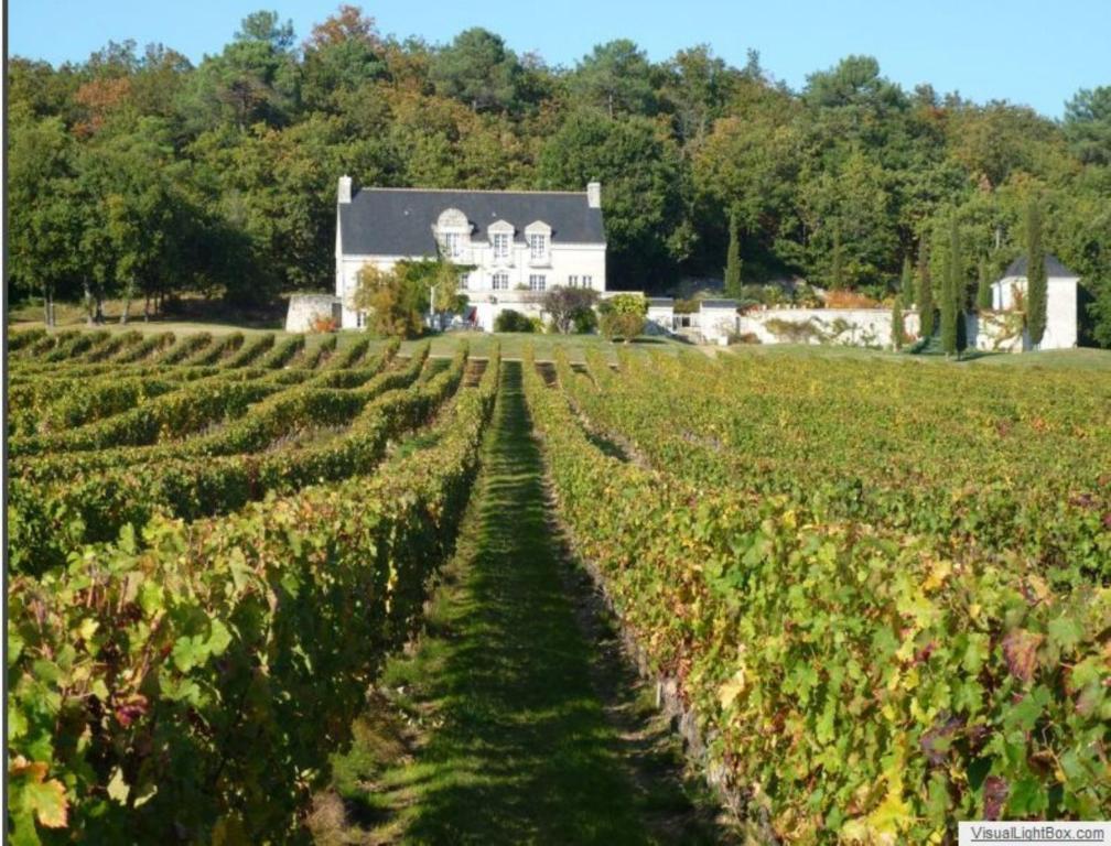 Domaine de Beauséjour Panzoult Exterior foto